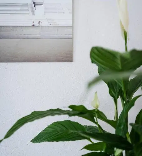 In Weinstadt-schnait דירה