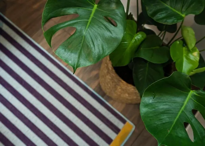 In Weinstadt-schnait דירה